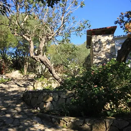 House Paulo3 * Rogacic