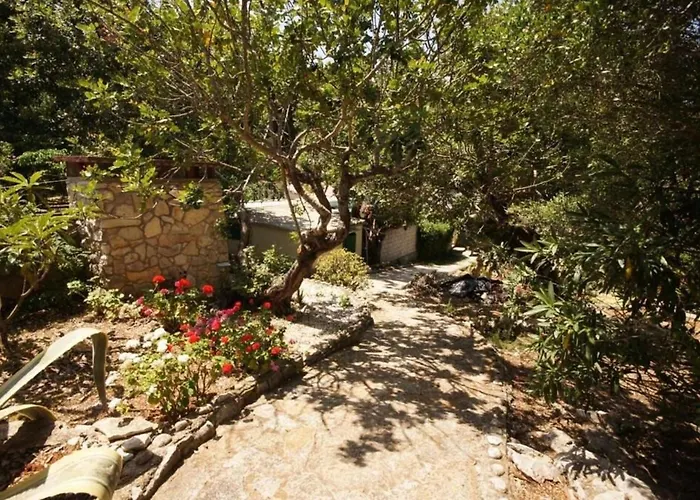 House Paulo3 Rogacic