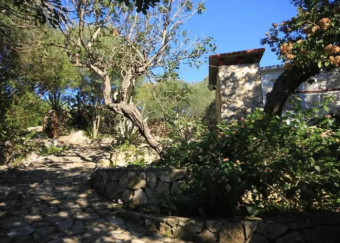 House Paulo3 * Rogacic