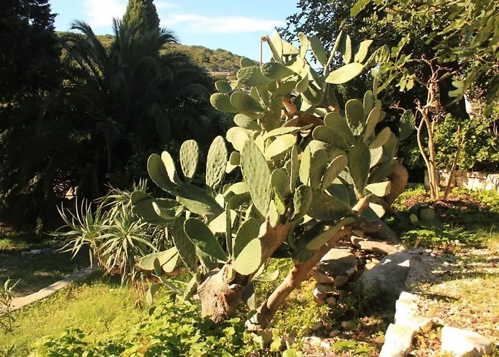 House Paulo3 Ferienhaus *